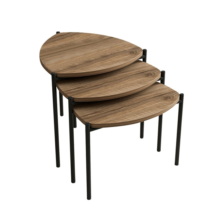 Dohányzóasztal (3 részes) Lenny - Walnut-VASBÚTOR