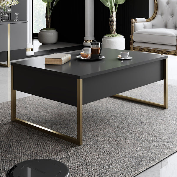Dohányzóasztal Luxe - Anthracite, Gold-VASBÚTOR